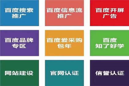 百度竞价推广代运营成功案例解读